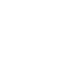 online-store icon